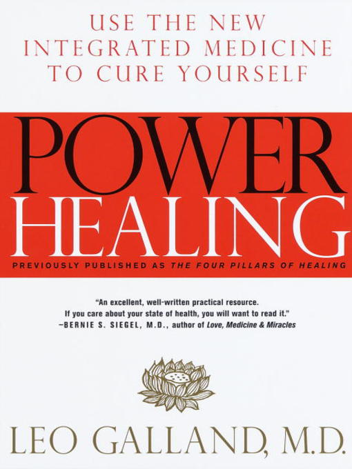 Title details for Power Healing by Leo Galland, M.D. - Wait list